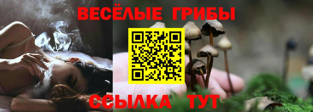 Псилоцибиновые грибы MAGIC MUSHROOMS  Псилоцибиновые грибы MAGIC MUSHROOMS  купить закладку  Красный Сулин  Вход с VPN 